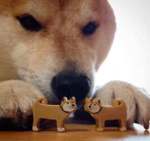 Doge playing with 2 little dogs Vs Vs. meme template