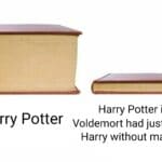 other memes Funny, Voldemort, Potter, Neville, Harry Potter, Lily text: Harry Potter if Harry Potter Voldemort had just killed Harry without magic  Funny, Voldemort, Potter, Neville, Harry Potter, Lily