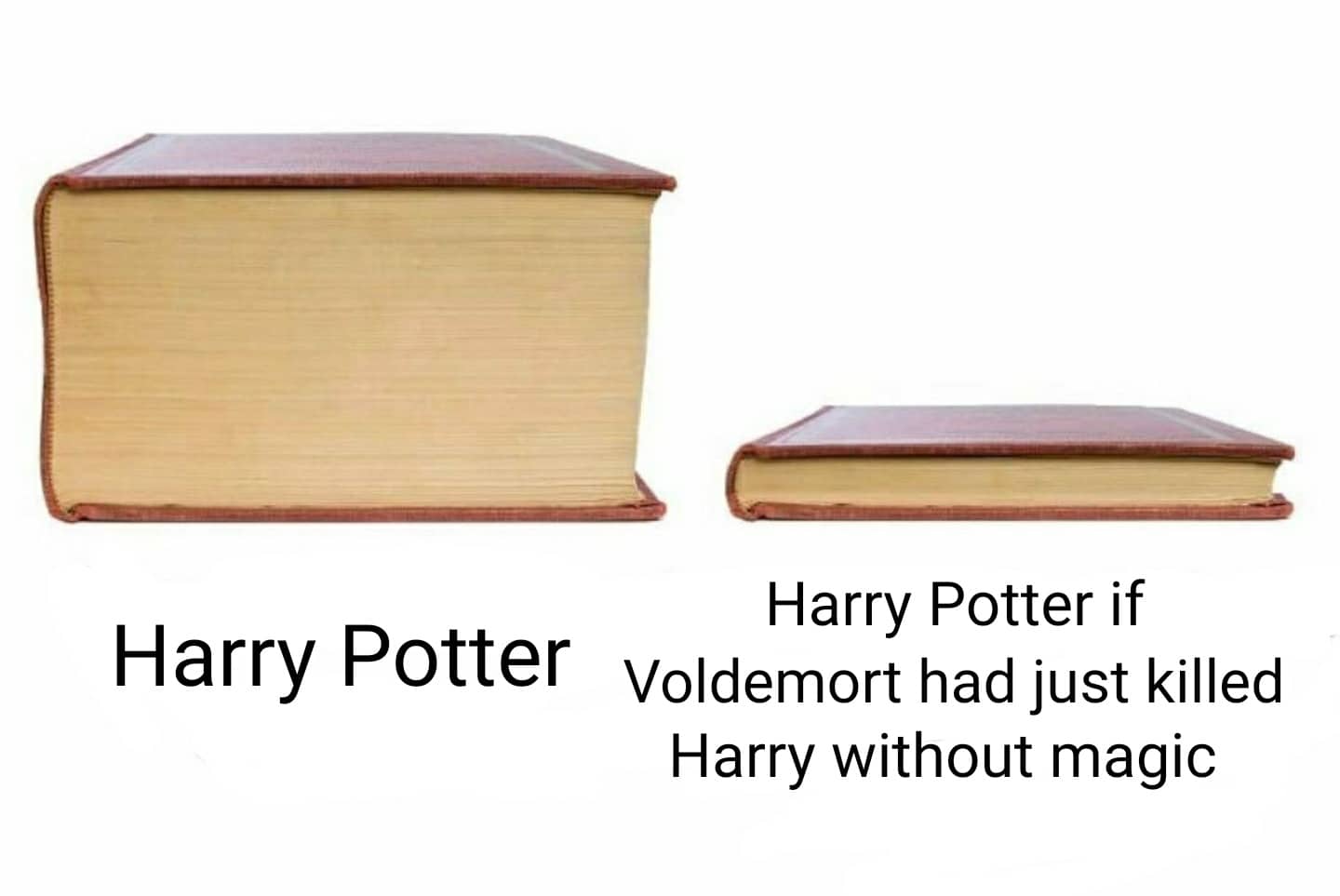 Funny, Voldemort, Potter, Neville, Harry Potter, Lily other memes Funny, Voldemort, Potter, Neville, Harry Potter, Lily text: Harry Potter if Harry Potter Voldemort had just killed Harry without magic 