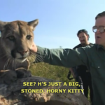 History Memes History, Trailer Park Boys, Bubbles, Title2ImageBot, Tiger King, TPB text: SEE? H