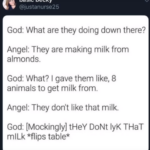 Christian Memes Christian, God text: basic becky @justanurse25 God: What are they doing down there? Angel: They are making milk from almonds. God: What? I gave them like, 8 animals to get milk from. Angel: They don