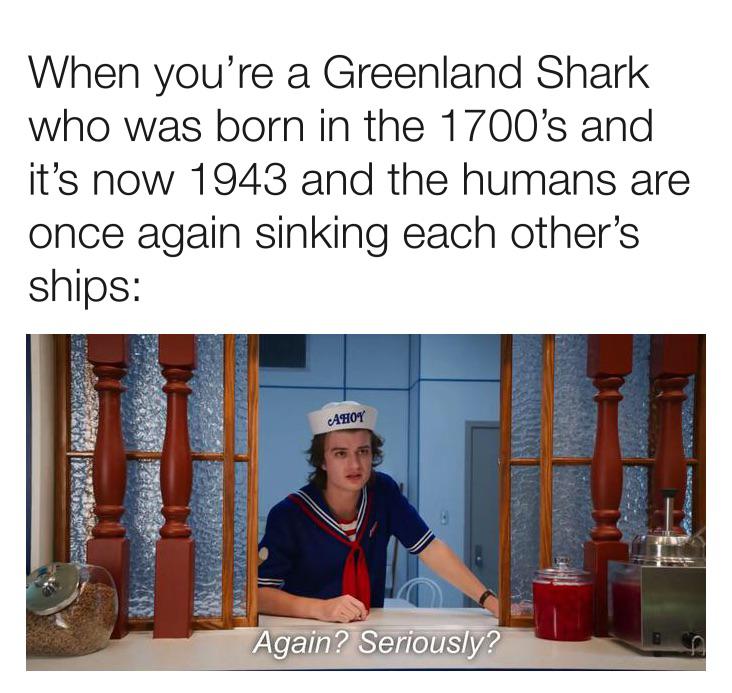 History, Greenland, Washington History Memes History, Greenland, Washington text: When you're a Greenland Shark who was born in the 1 700's and it's now 1943 and the humans are once again sinking each other's ships: Again? SériouSlY9 
