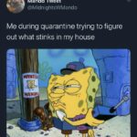 Spongebob Memes Spongebob,  text: Mando Tweet @MidnightsWMando Me during quarantine trying to figure out what stinks in my house MANIACj  Spongebob, 