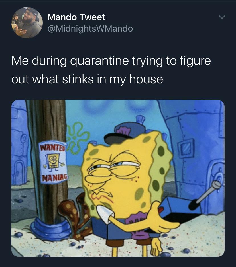 Spongebob,  Spongebob Memes Spongebob,  text: Mando Tweet @MidnightsWMando Me during quarantine trying to figure out what stinks in my house MANIACj 