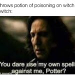 minecraft memes Minecraft,  text: Me throws potion of poisoning on witch The witch: You dare se