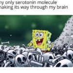 Spongebob Memes Spongebob, SSRI text: my only serotonin molecule making its way through my brain  Spongebob, SSRI