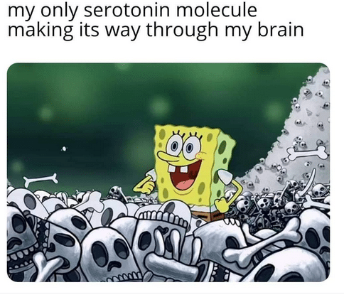 Spongebob, SSRI Spongebob Memes Spongebob, SSRI text: my only serotonin molecule making its way through my brain 
