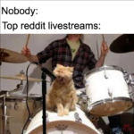 Dank Memes Dank, Osama text: Nobody: Top reddit livestreams:  Dank, Osama