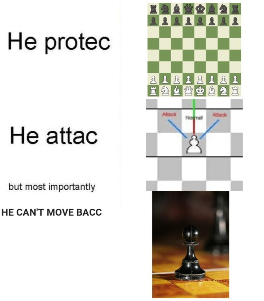 Funny, No, WW2, Soviet, Russian, Queen other memes Funny, No, WW2, Soviet, Russian, Queen text: He protec He attac but most importantly HE CAN'T MOVE BACC 