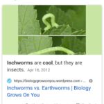 cringe memes Cringe, Reddit, CRAWL text: Gotgle are inch worms cool ALL IMAGES SHOPPING NEWS Did you mean: are inchworms cool Inchworms are cool, but they are insects. Apr 16, 2012 https://biologygrowsonyou.wordpress.com ></noscript><img class="lazyload" src=