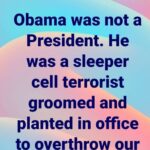 boomer memes Political, Trump text: oo TRUE THAT 0 Obama was not a President. He was a sleeper cell terrorist groomed and planted in office to overthrow our government.  Political, Trump