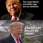 Political Memes Political, Trump, Adele, Good, BMI text: You crazy libtard snowflake pigs are too sensitive. LADY CALLED ME iOBESE!  Political, Trump, Adele, Good, BMI