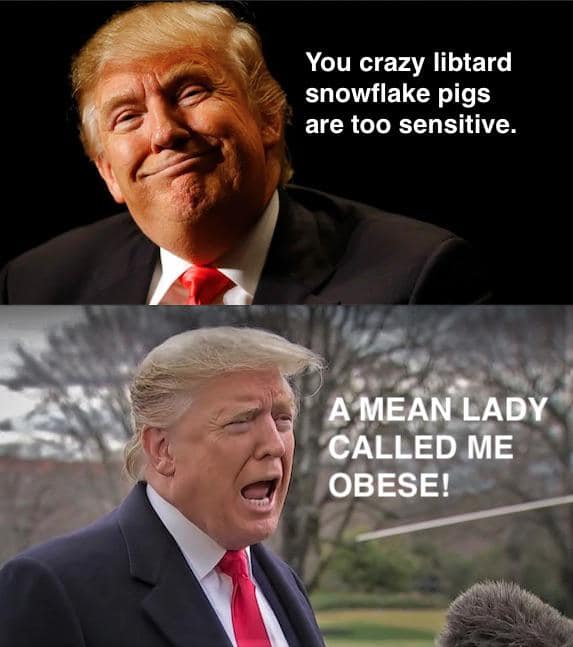 Political, Trump, Adele, Good, BMI Political Memes Political, Trump, Adele, Good, BMI text: You crazy libtard snowflake pigs are too sensitive. LADY CALLED ME iOBESE! 