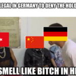 History Memes History, British, Japan, Germany, UK, Britain text: ILLEGAL IN GERMANY TO DENY THE HOLOCAUST IT SMELL LIKE BITCH IN HERE 