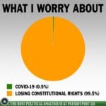 boomer memes Political, Reddit, People, Patriot Act, America, Snowden text: WHAT I WORRY ABOUT n COVID.19 (0.5%) t