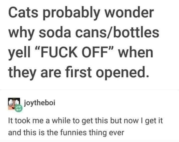 Cringe, Tumblr cringe memes Cringe, Tumblr text: Cats probably wonder why soda cans/bottles yell 