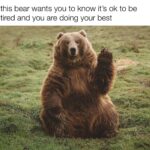 Wholesome Memes Cute,  text: this bear wants you to know it