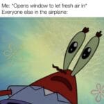 Spongebob Memes Spongebob, Feel, Breeze text: Me: *Opens window to let fresh air in* Everyone else in the airplane:  Spongebob, Feel, Breeze