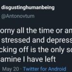 depression memes Depression, NoFap text: disgustinghumanbeing @Antonovtum Am I horny all the time or am I just bored, stressed and depressed and jacking off is the only source of dopamine I have left 11 • 01 May 20 • Twitter for Android  Depression, NoFap