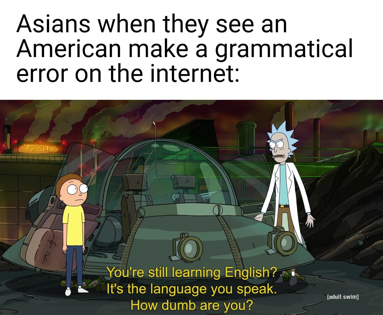 Dank, English, Americans, Dutch, Chinese, Asians Dank Memes Dank, English, Americans, Dutch, Chinese, Asians text: Asians when they see an American make a grammatical error on the internet: —you're still learning English? It's the language you speak. [adult swim] How dumb are you? 