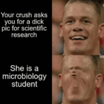 Dank Memes Dank, Brain text: Your crush asks you for a dick pic for scientific research She is a microbiology student  Dank, Brain