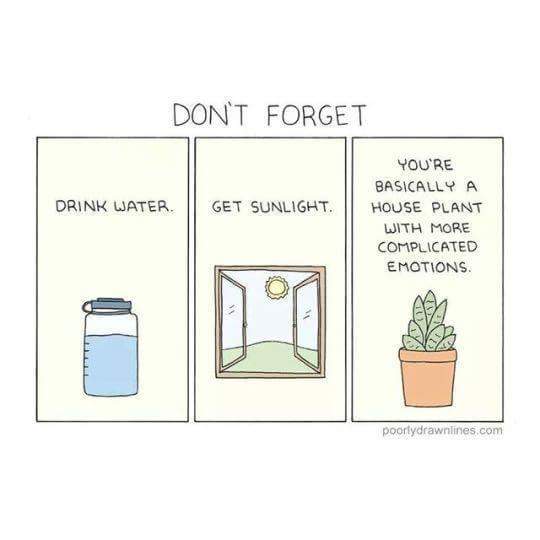 Wholesome memes, Humans Wholesome Memes Wholesome memes, Humans text: DRINK DONT FORGET GET SUNLIGHT. o YOU'RE HOUSE PLANT MORE EMOTIONS. poorfydrawnIineS.com 