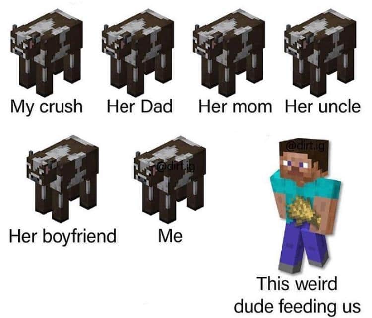 Minecraft, Cow minecraft memes Minecraft, Cow text: My crush Her Dad Her mom Her uncle This weird dude feeding us 