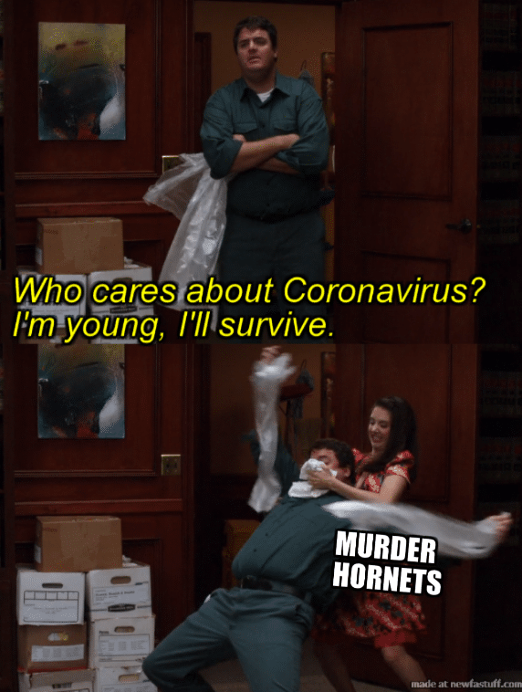Coronavirus, COVID-19, COVID, Annie, Community Memes Coronavirus, COVID-19, COVID, Annie, Community text: Who cares about Coronavirus? I'lllsurvive. MURDER •e HORNETS —k' at newfast