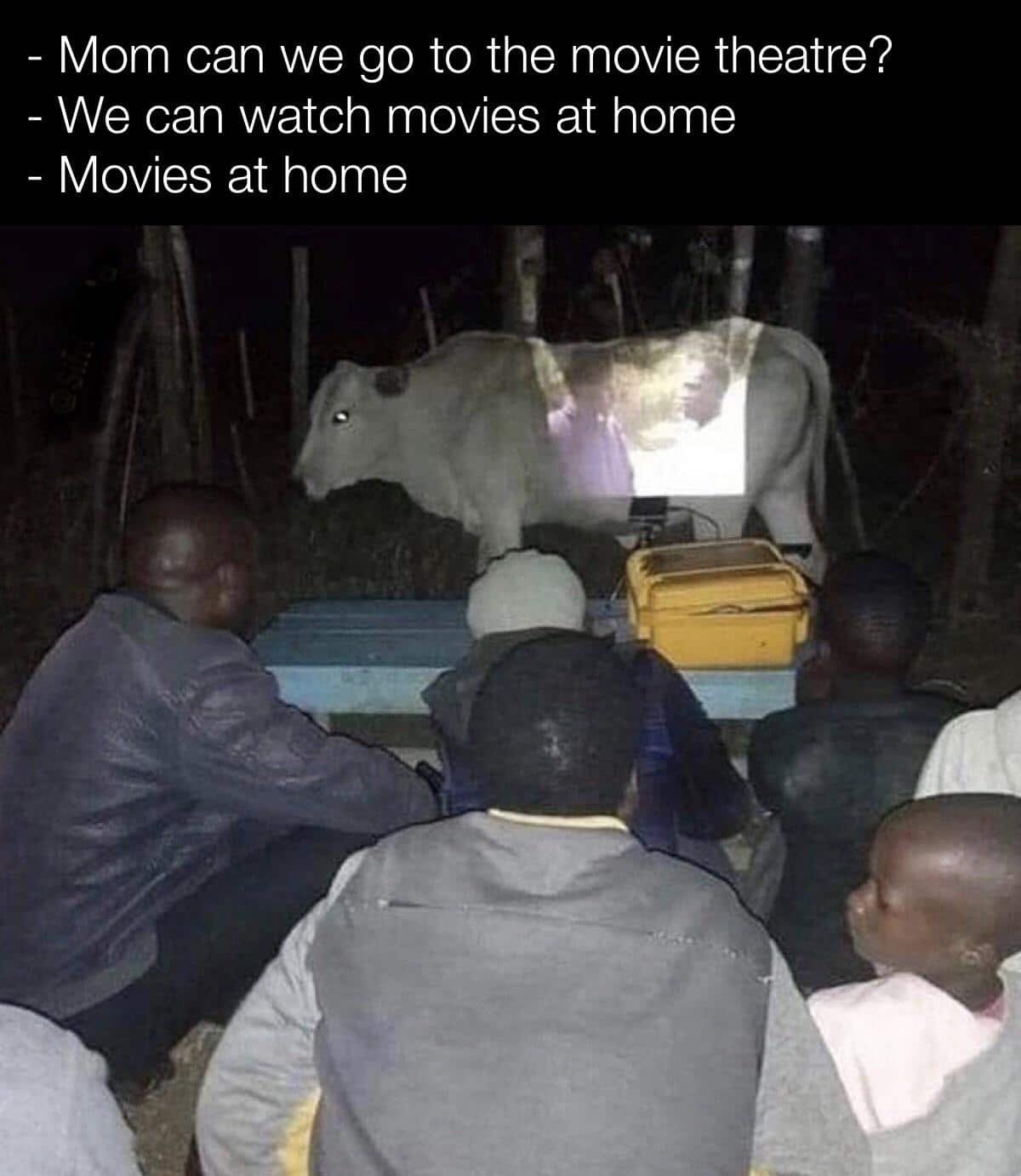 Funny, People, Mooovie, Indian, India, Alex other memes Funny, People, Mooovie, Indian, India, Alex text: Mom can we go to the movie theatre? We can watch movies at home Movies at home 