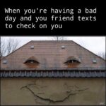 Wholesome Memes Cute, wholesome memes, Romania, Monster House text: When you