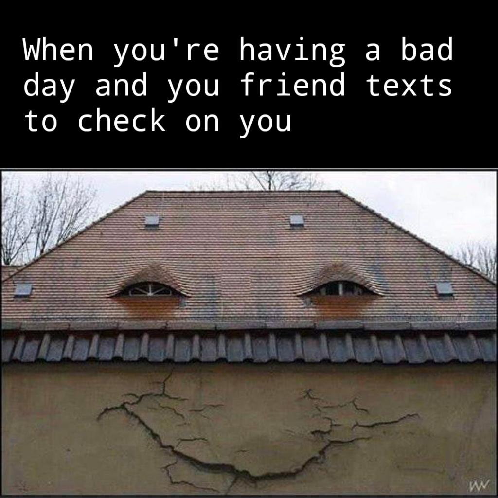 Cute, wholesome memes, Romania, Monster House Wholesome Memes Cute, wholesome memes, Romania, Monster House text: When you're having a bad day and you friend texts to check on you 