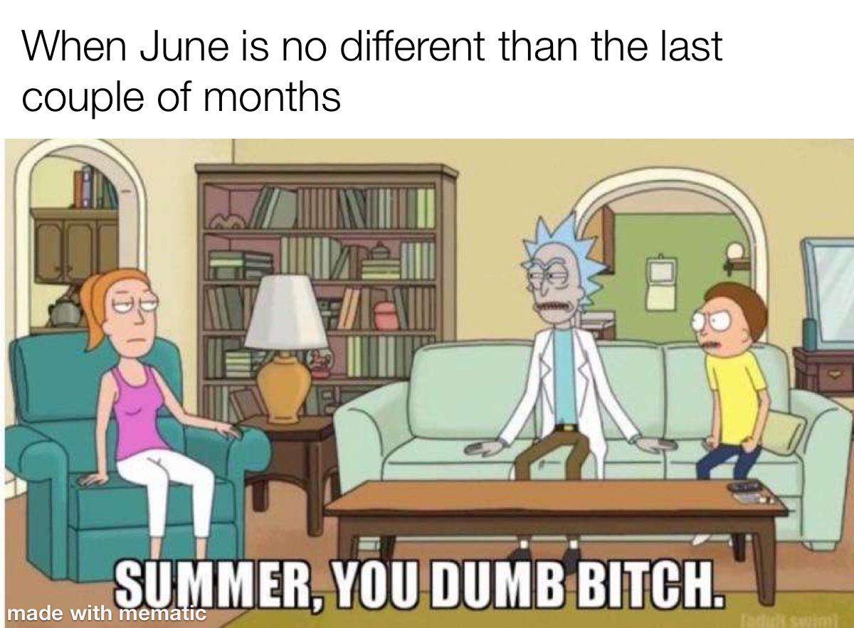 Cute, Rick, Morty, Australian Dank Memes Cute, Rick, Morty, Australian text: When June is no different than the last couple of months DUP!BBITCH. made with mema 