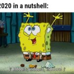 Spongebob Memes Spongebob,  text: 2020 in a nutshell: .71ndo rs, Indoor , Indoors!  Spongebob, 