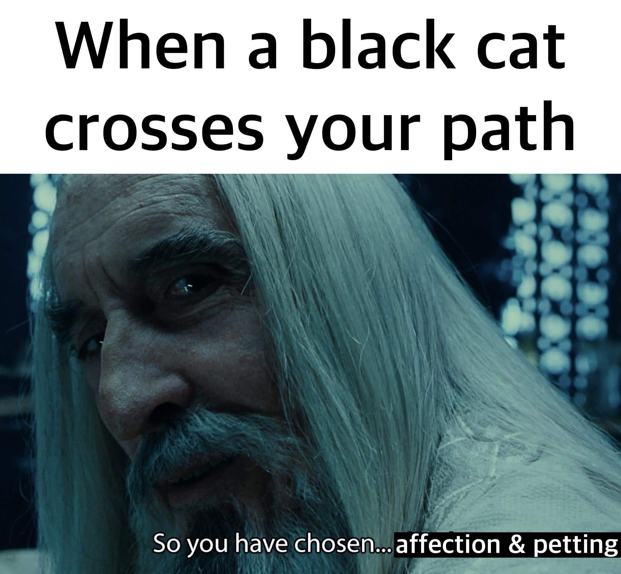 Wholesome memes, Adopt Wholesome Memes Wholesome memes, Adopt text: When a black cat crosses your path So you have chosen... affection & petting 