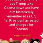 boomer memes Political, Trump, Investigating text: Does anyone want to see Trump take Obama down and have him historically remembered as U.S. 1st President arrested and charged for Treason Repost for "YES"  Political, Trump, Investigating