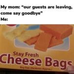 other memes Funny, Stay, Ashens, Approx, Stay Fresh, Chef Excellence text: My mom: "our guests are leaving, come say goodbye" Stay Fresh Cheeæ Bag«.  Funny, Stay, Ashens, Approx, Stay Fresh, Chef Excellence