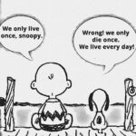 Wholesome Memes Wholesome memes,  text: We only live Wrong! we only once, snoopy. die once. We live every day!  Wholesome memes, 