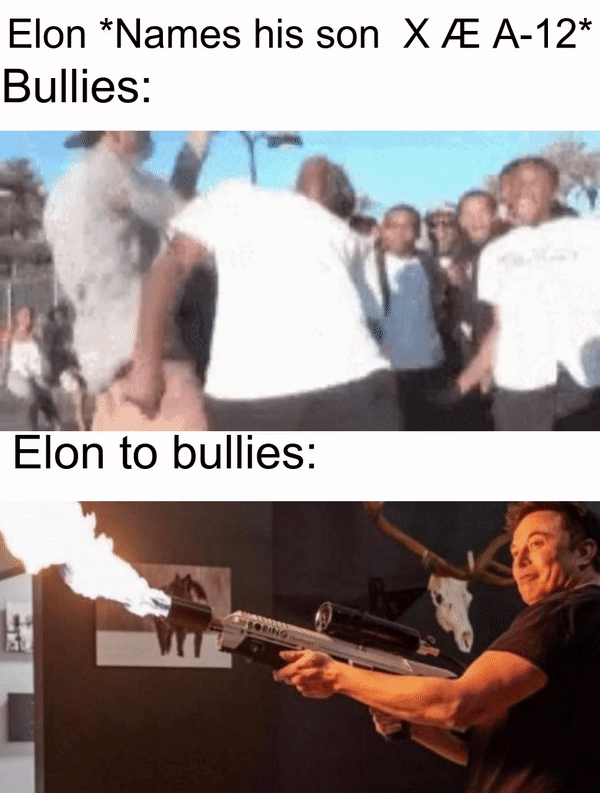 Cute, Elon, Kyle, Tesla, Musk, Reddit Dank Memes Cute, Elon, Kyle, Tesla, Musk, Reddit text: Elon *Names his son XÆ A-12* Bullies: Elon to bullies: 