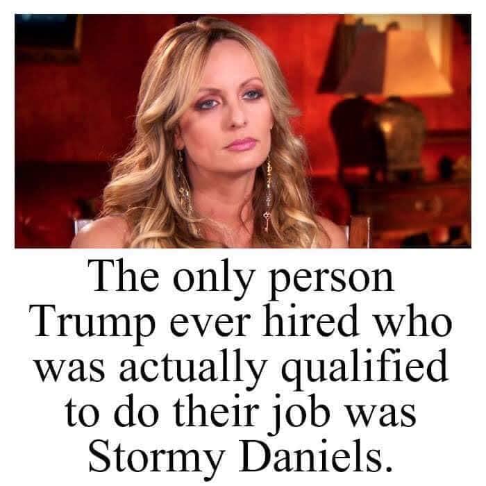 Political, Trump, Biden, Mattis Political Memes Political, Trump, Biden, Mattis text: The only person Trump ever hired who was actually qualified to do their job was Stormy Daniels. 