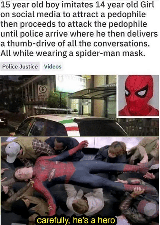 Dank, Brazil, Spider-Man, Florida other memes Dank, Brazil, Spider-Man, Florida text: 15 year old boy imitates 14 year old Girl on social media to attract a pedophile then proceeds to attack the pedophile until police arrive where he then delivers a thumb-drive of all the conversations. All while wearing a spider-man mask. Police Justice Videos carefully, he's a hero 