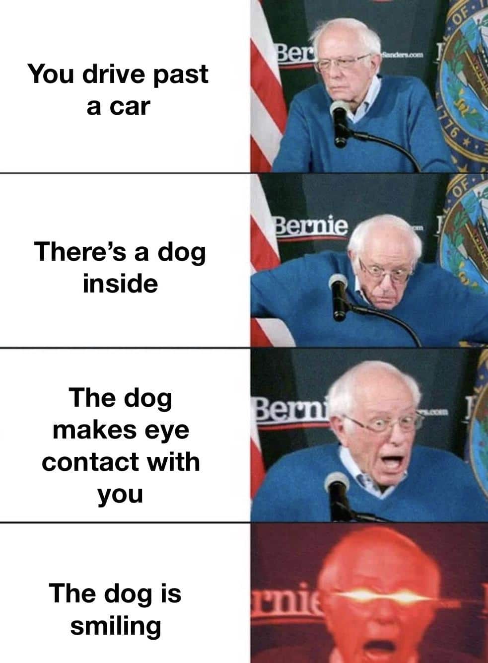 Wholesome memes, Fricken Wholesome Memes Wholesome memes, Fricken text: You drive past a car There's a dog inside The dog makes eye contact with you The dog is smiling • 