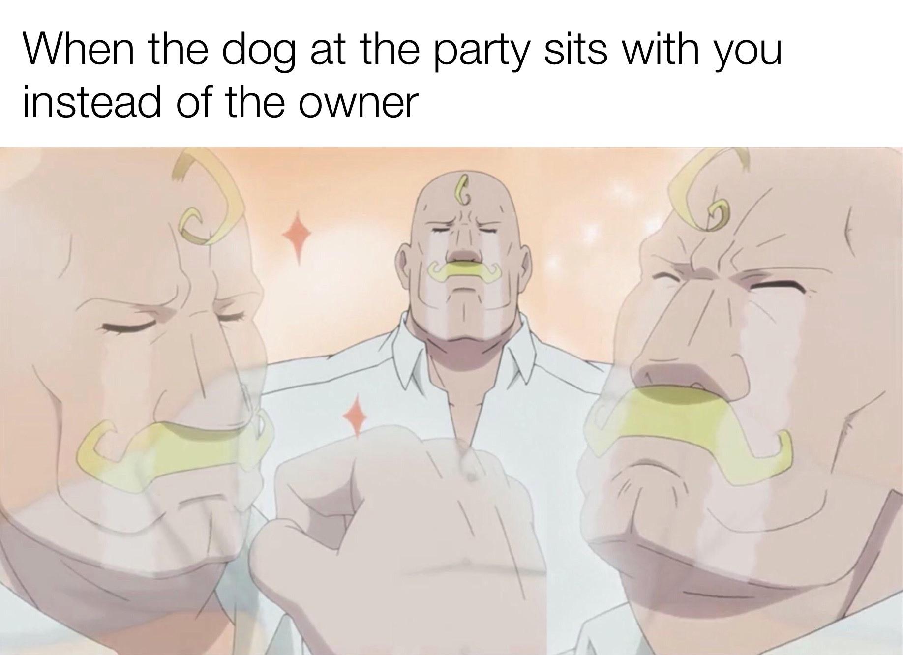 Funny, FMA, Edward, Animemes other memes Funny, FMA, Edward, Animemes text: When the dog at the party sits with you instead of the owner 