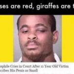 other memes Dank, Visit, Negative, Feedback, False Negative, False text: Roses are red, giraffes are tall Pedophile Cries in Court After 11 Year Old Victim Describes His Penis as Small  Dank, Visit, Negative, Feedback, False Negative, False