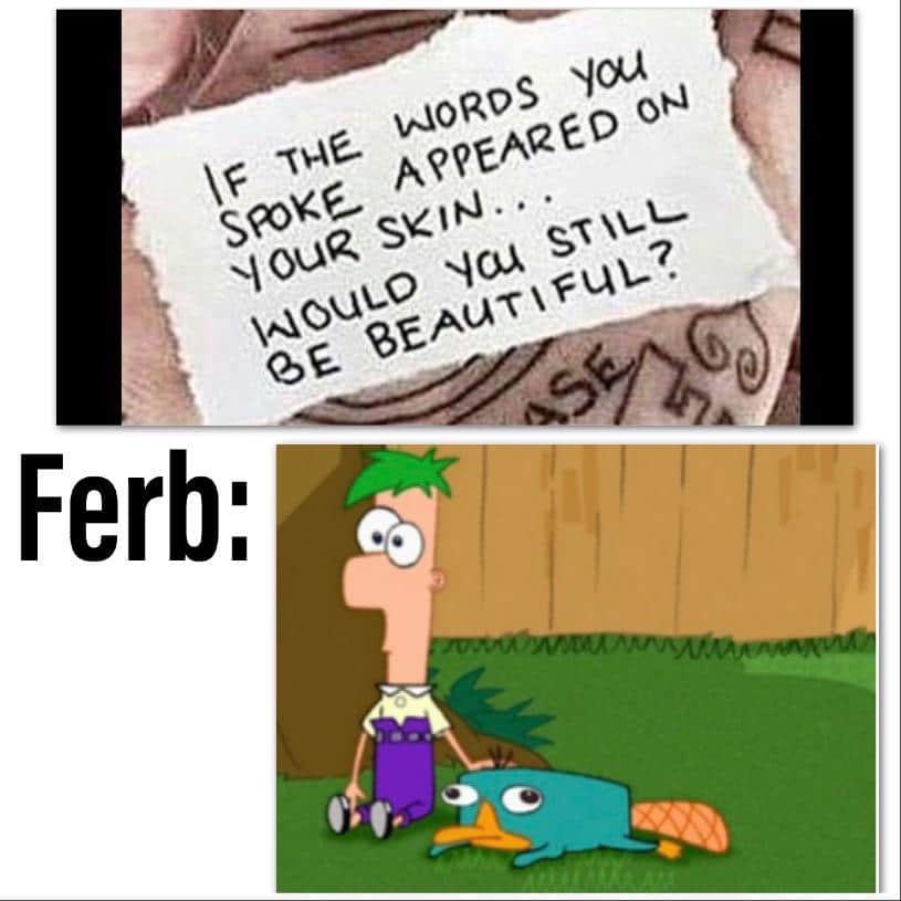 Funny, Ferb, Wait, Perry other memes Funny, Ferb, Wait, Perry text: IF v..lORDS you APPEARED NIOuR SKIN. vOOuCO STU-L- ßE BEAUTI FUL? 