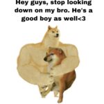 Dank Memes Dank, Doge text: Hey guys, stop looking down on my bro. He