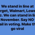 boomer memes Political, MAIL IN VOTING BAD SWEATY, FW text: We stand in line at Target, Walmart, Lowe