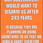 boomer memes Political, Grandmas text: THE ONLY REASON OUR GOVERNMENT WOULD WANT TO DISARM US AFTER 243 YEARS IS BECAUSE THEY ARE PLANNING ON DOING SOMETHING TO US THAT WE WOULD SHOOT THEM FOR. THAT FOLKS IS THE TRUTH!  Political, Grandmas