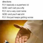 Christian Memes Christian,  text: GOD: you can fly and see in all directions FLY: basically a superhero lol GOD: we