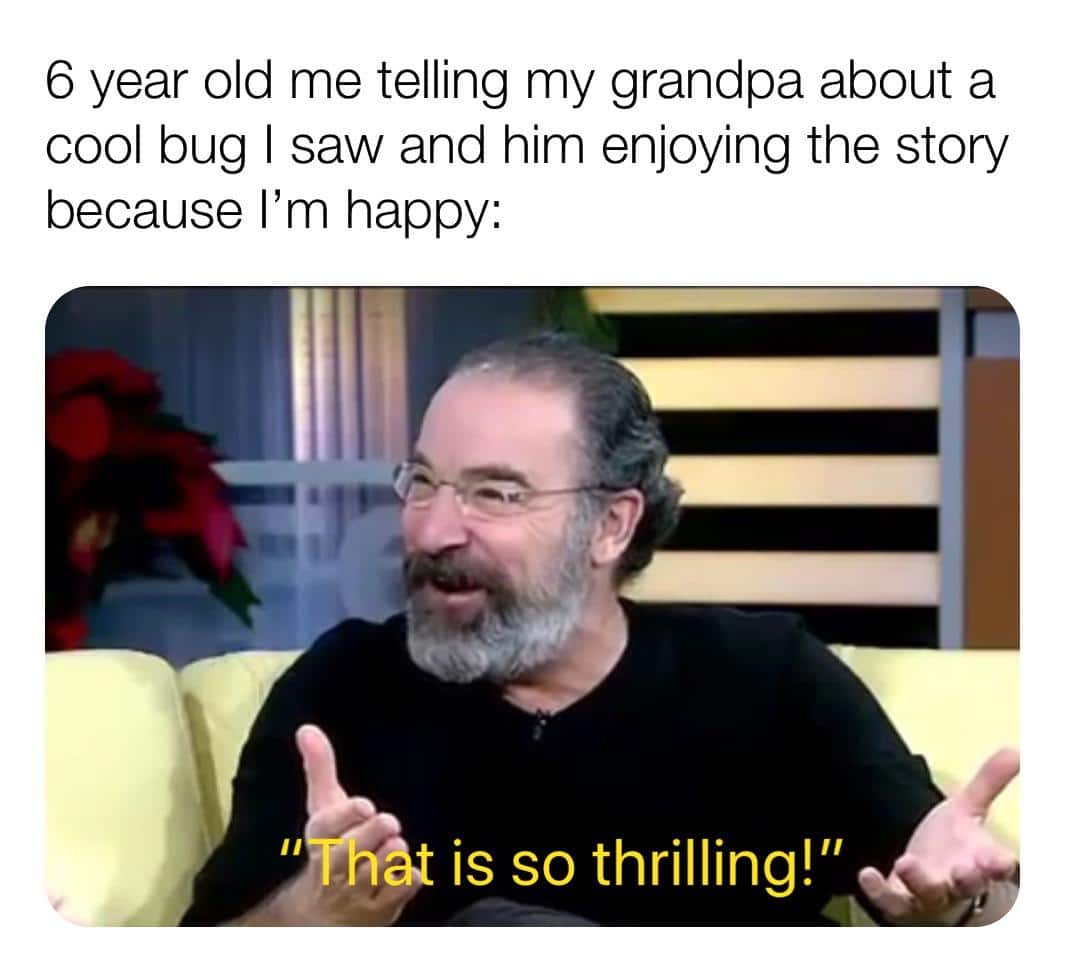 Cute, wholesome memes, Grandpas Wholesome Memes Cute, wholesome memes, Grandpas text: 6 year old me telling my grandpa about a cool bug I saw and him enjoying the story because I'm happy: 11 is so thrilling!