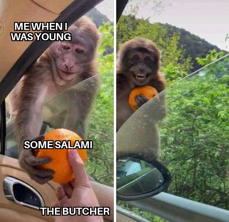 Wholesome memes, Germany, Gelbwurst, No Wholesome Memes Wholesome memes, Germany, Gelbwurst, No text: ME WHEN I WAS YOUNG SOME SALAMI. THE-AUTCHER 